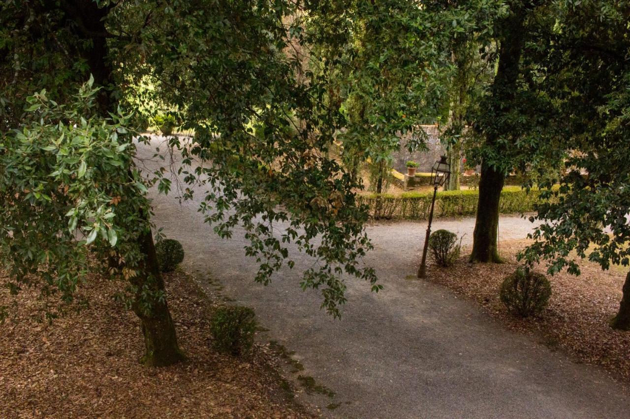 La Finestra Sul Parco Lejlighed Lucca Eksteriør billede